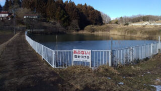 二本松市　池の入池