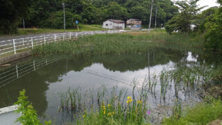 二本松市　池端池